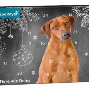 Hunde Adventskalender 2021 ZooRoyal